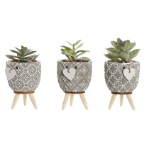 Plante décorative Home ESPRIT Polyéthylène Ciment 9,5 x 9,5 x 12 cm (3 Unités)