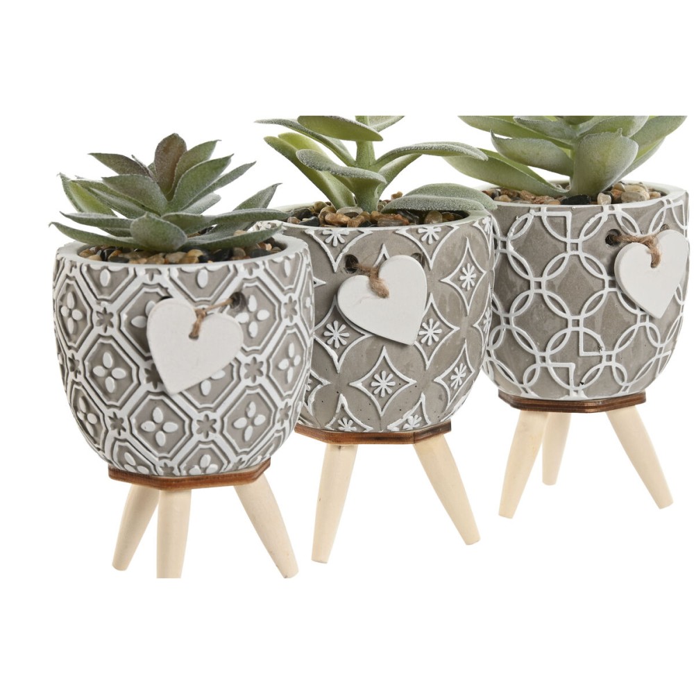 Plante décorative Home ESPRIT Polyéthylène Ciment 9,5 x 9,5 x 12 cm (3 Unités)