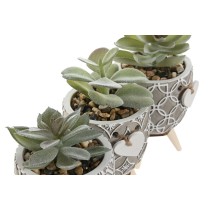 Plante décorative Home ESPRIT Polyéthylène Ciment 9,5 x 9,5 x 12 cm (3 Unités)