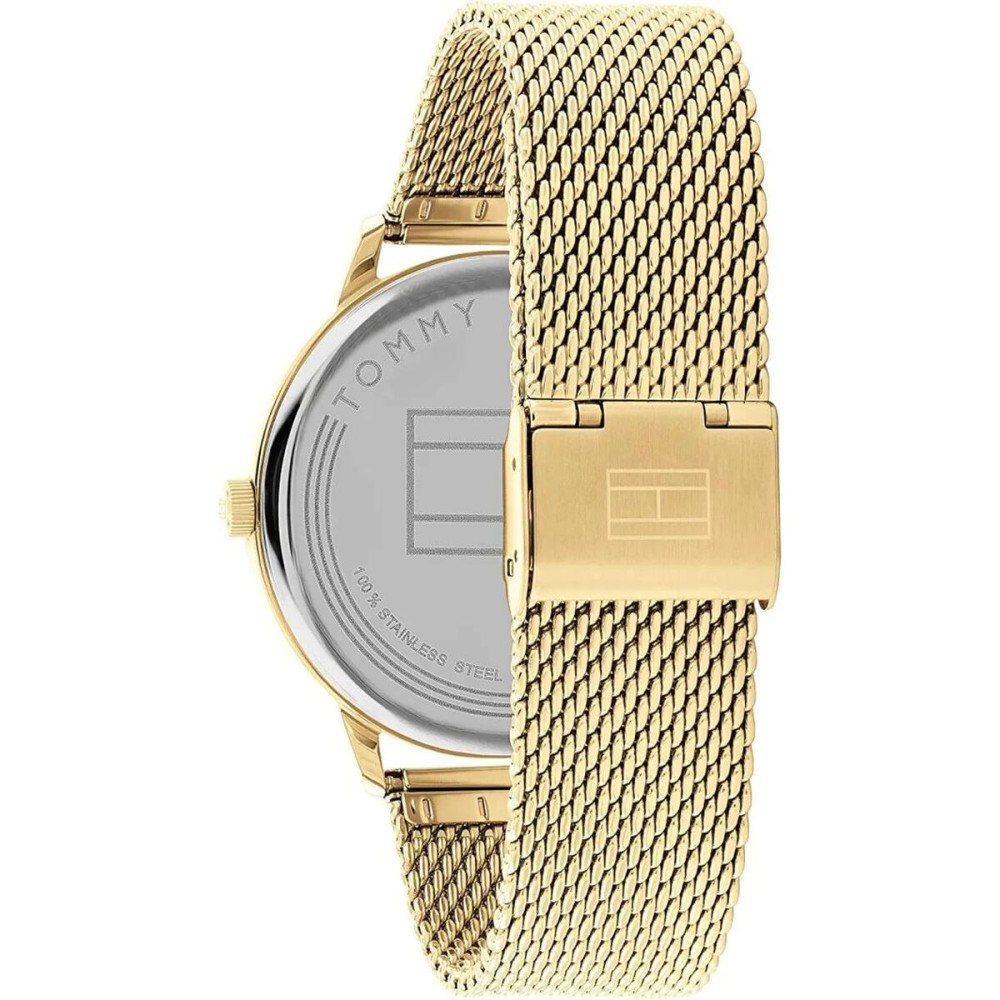 Men's Watch Tommy Hilfiger 1791877 (Ø 43 mm)