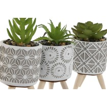 Plante décorative Home ESPRIT Polyéthylène Ciment 6,5 x 6,5 x 11 cm (3 Unités)