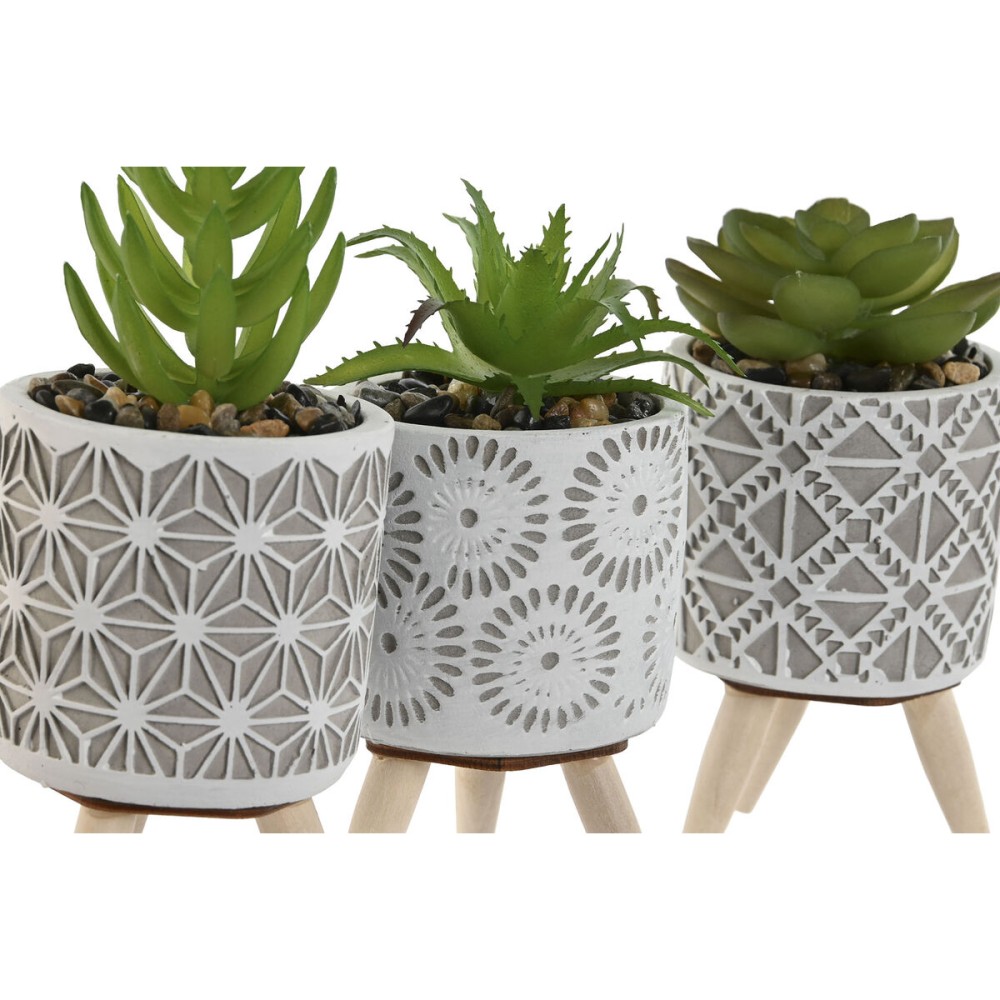 Plante décorative Home ESPRIT Polyéthylène Ciment 6,5 x 6,5 x 11 cm (3 Unités)