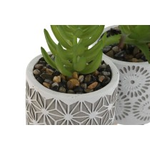 Plante décorative Home ESPRIT Polyéthylène Ciment 6,5 x 6,5 x 11 cm (3 Unités)