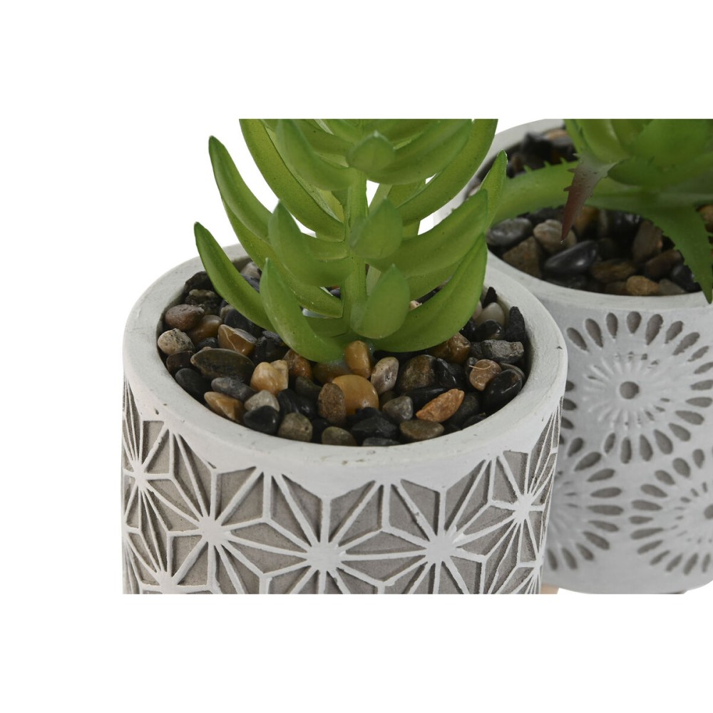 Plante décorative Home ESPRIT Polyéthylène Ciment 6,5 x 6,5 x 11 cm (3 Unités)