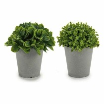Plante décorative Ibergarden Plastique 13 x 17 x 13 cm 14 x 16 x 14 cm (12 Unités)