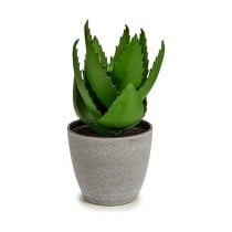 Decorative Plant Ibergarden Plastic Aloe Vera 15 x 23,5 x 15 cm (6 Units)