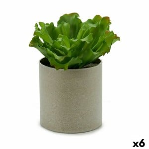Plante décorative Ibergarden 20 x 25 x 20 cm (6 Unités)