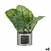 Plante décorative Ibergarden Métal Plastique Caladium 26 x 26 x 26 cm (6 Unités)
