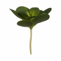 Plante décorative Ibergarden Plastique Volets Ronde 18 x 23 x 18 cm (6 Unités)