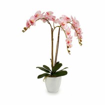 Plante décorative Ibergarden Plastique Orchidée 40 x 77 x 35 cm 40 x 78 x 35 cm 40 x 78 x 44 cm (2 Unités)