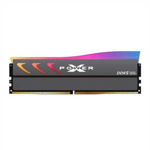 RAM Memory Silicon Power SP032GXLWU60CFDK