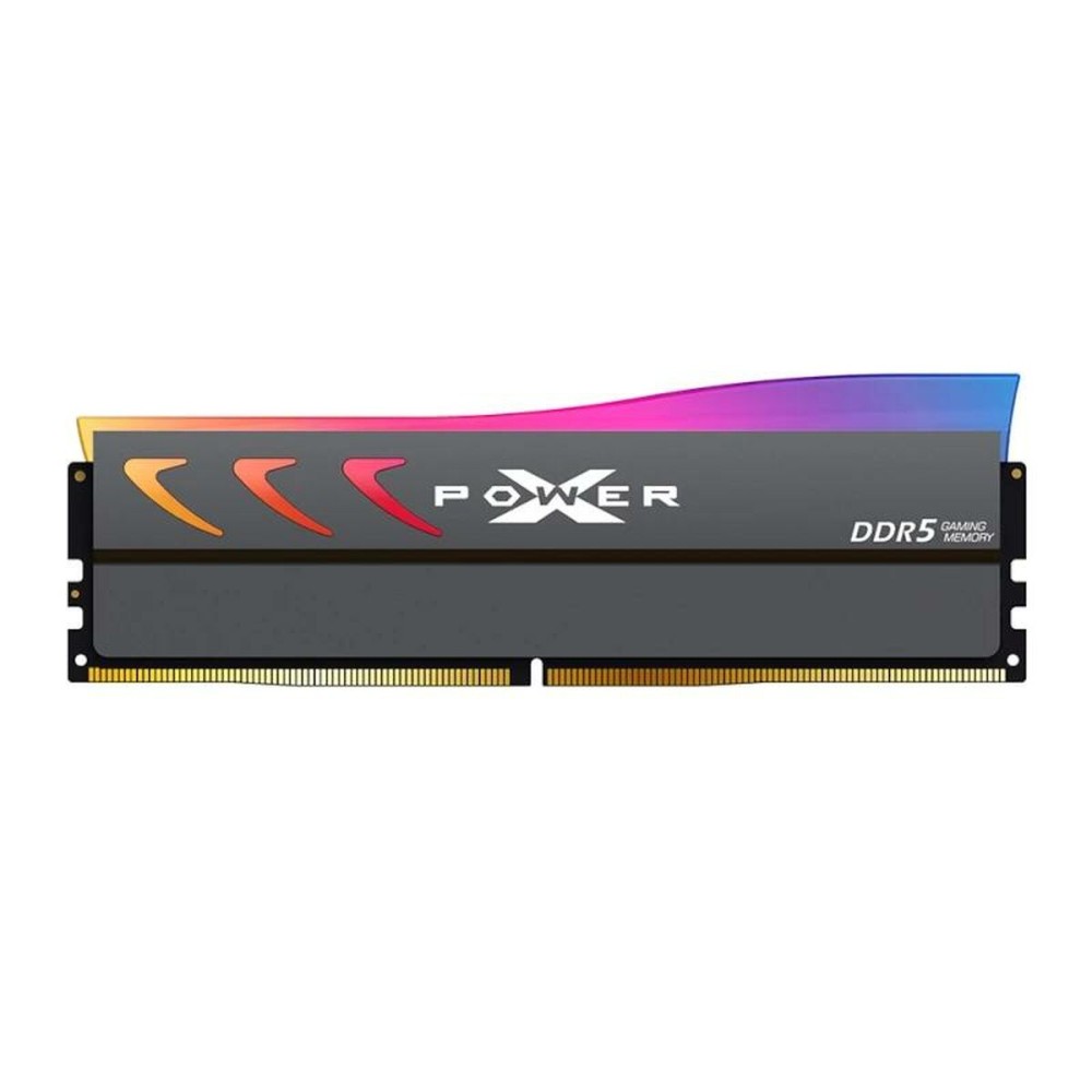 RAM Memory Silicon Power SP032GXLWU60CFDK