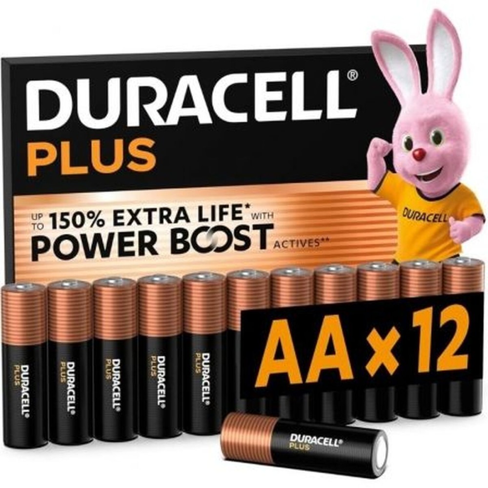 Piles Rechargeables DURACELL DPBLR6B12 1,5 V