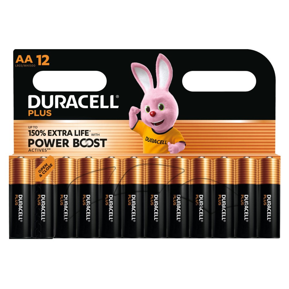 Piles Rechargeables DURACELL DPBLR6B12 1,5 V