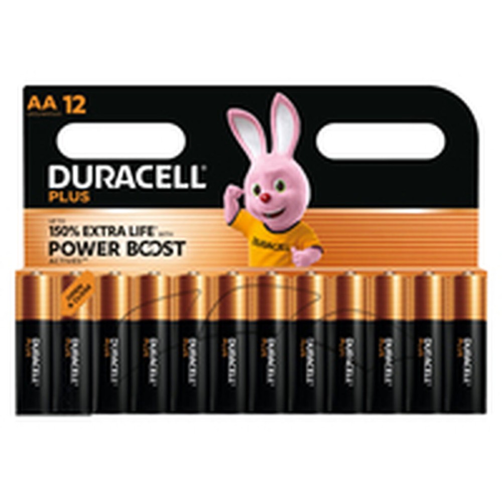 Piles Rechargeables DURACELL DPBLR6B12 1,5 V