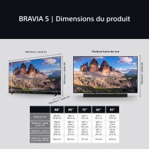TV intelligente Sony X75XR55B 75
