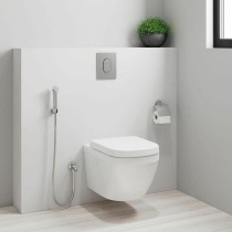 Shower Rose Grohe Metal