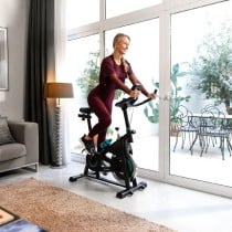 Stationary bike Cecotec DrumFit Indoor 10000 Teseo