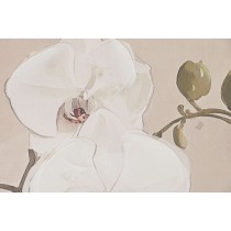 Toile Home ESPRIT Blanc Rouge Oriental Vase 80 x 4,5 x 100 cm (2 Unités)