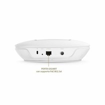 Point d'Accès TP-Link NSWPAC0289