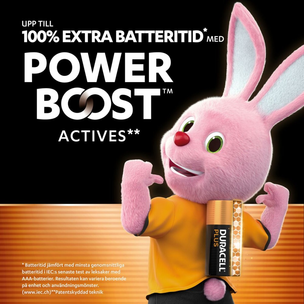 Piles Rechargeables DURACELL DPBLR3B12 1,5 V AAA