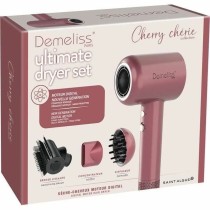 Föhn Demeliss