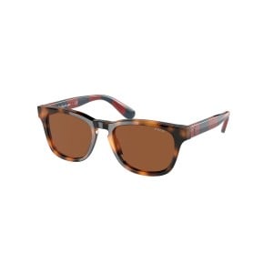 Lunettes de soleil Homme Ralph Lauren PP9503-530373 Ø 48 mm