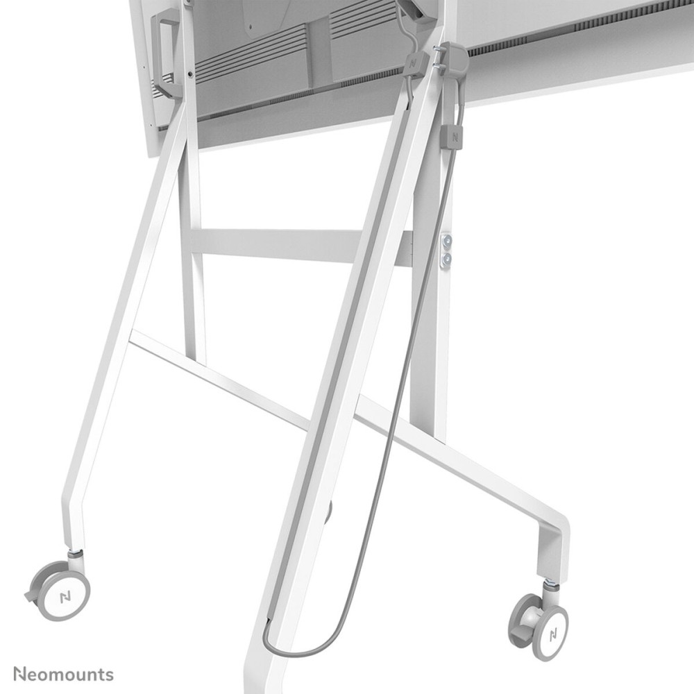 Bildschirm-Träger für den Tisch Neomounts FL50-515WH1 55" 65"