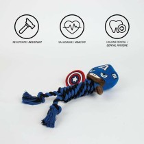 Dog toy Marvel Blue 9,5 x 30 x 9,5 cm