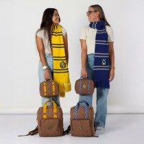 Travel Vanity Case Harry Potter