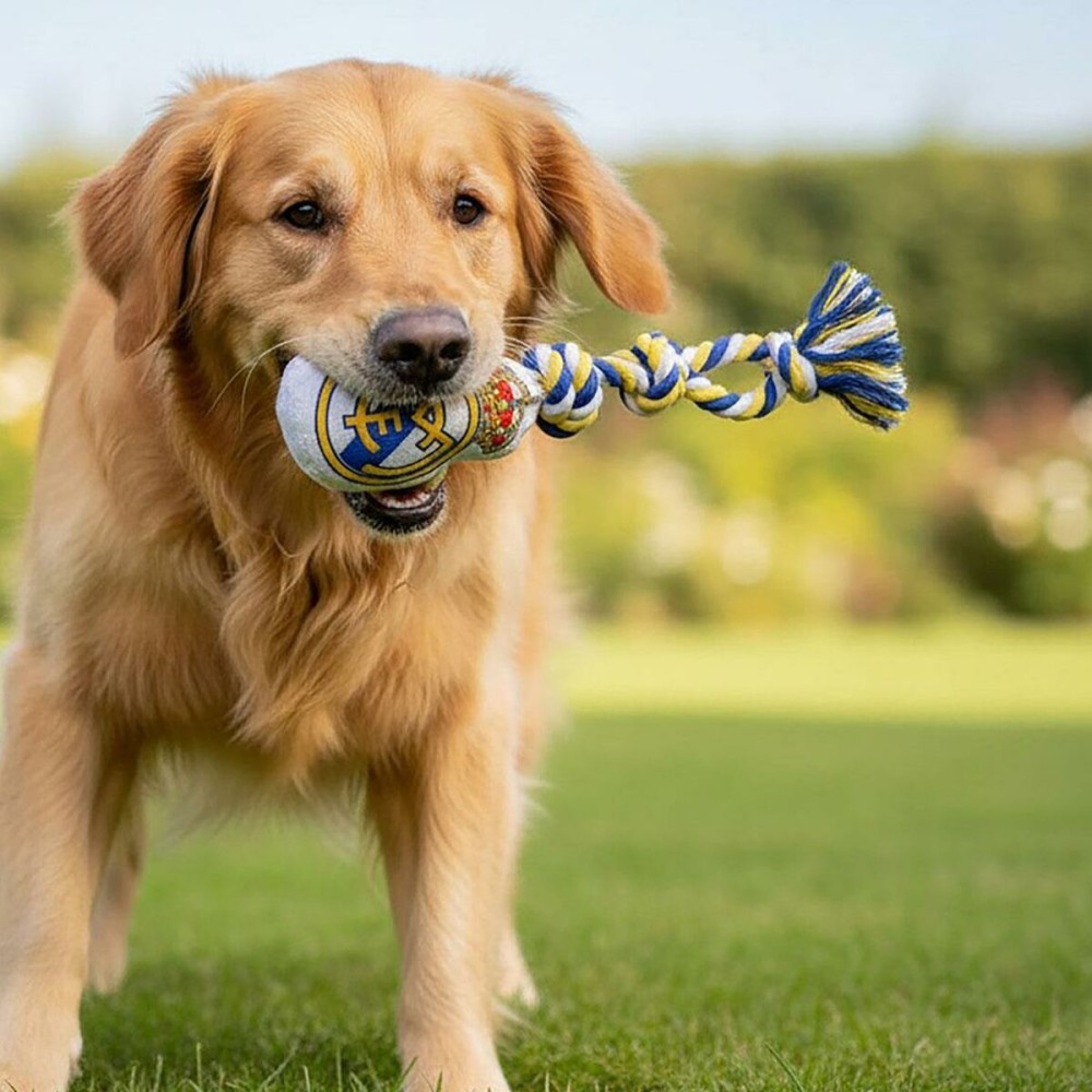 Dog toy Real Madrid C.F. 15 x 33 x 10 cm
