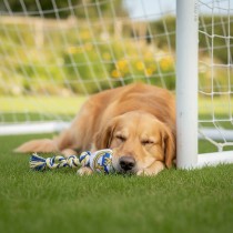 Dog toy Real Madrid C.F. 15 x 33 x 10 cm