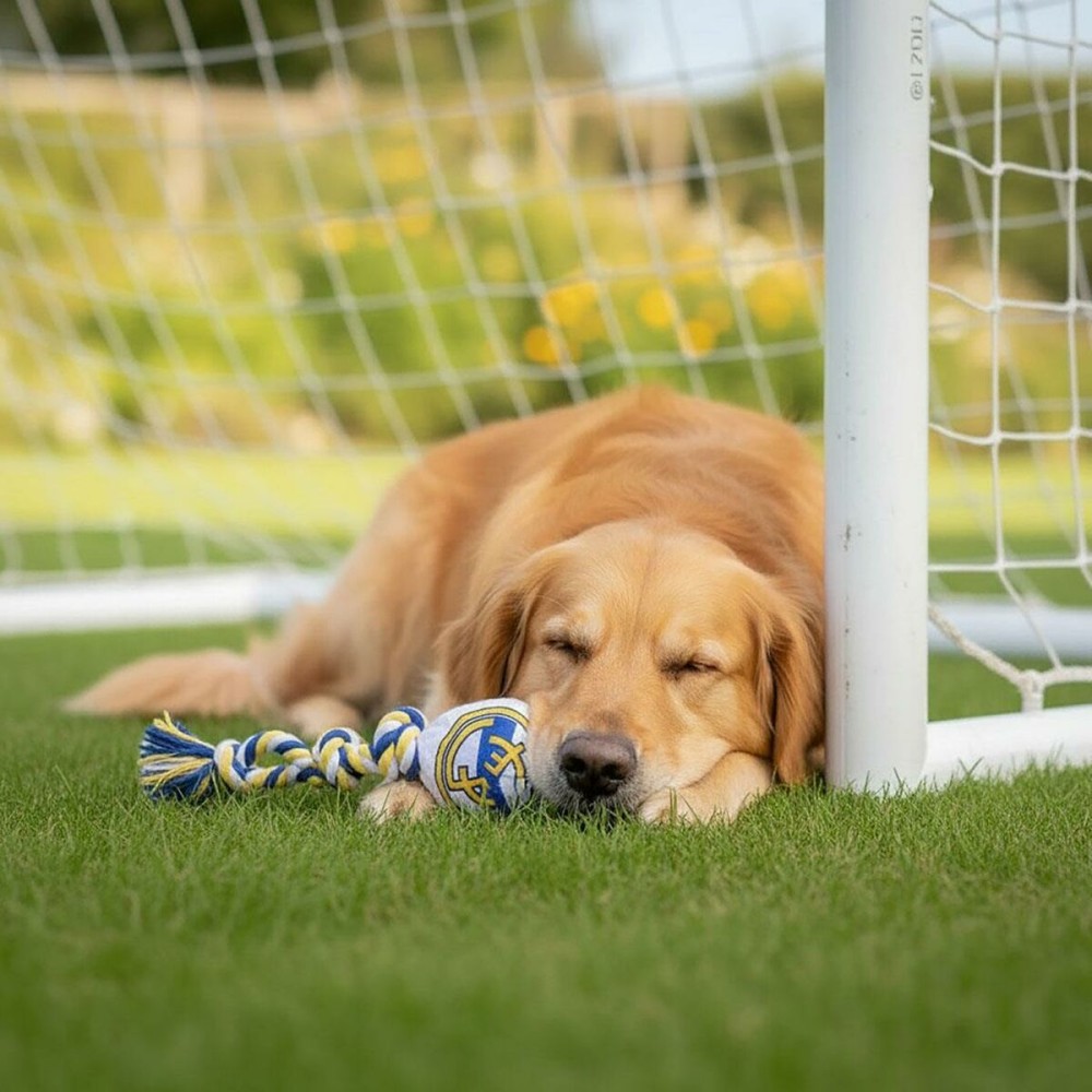 Dog toy Real Madrid C.F. 15 x 33 x 10 cm
