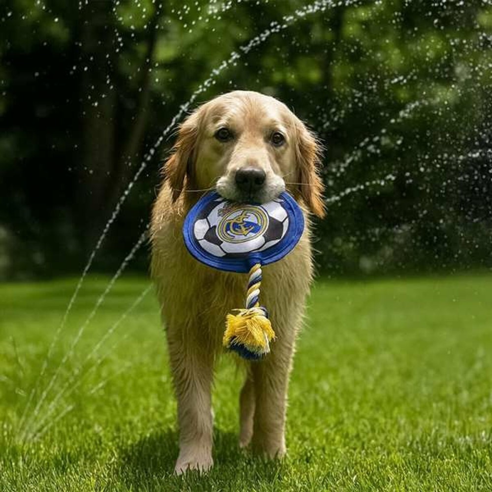 Dog toy Real Madrid C.F. Multicolour One size