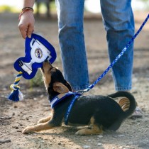 Dog toy Real Madrid C.F. Multicolour One size