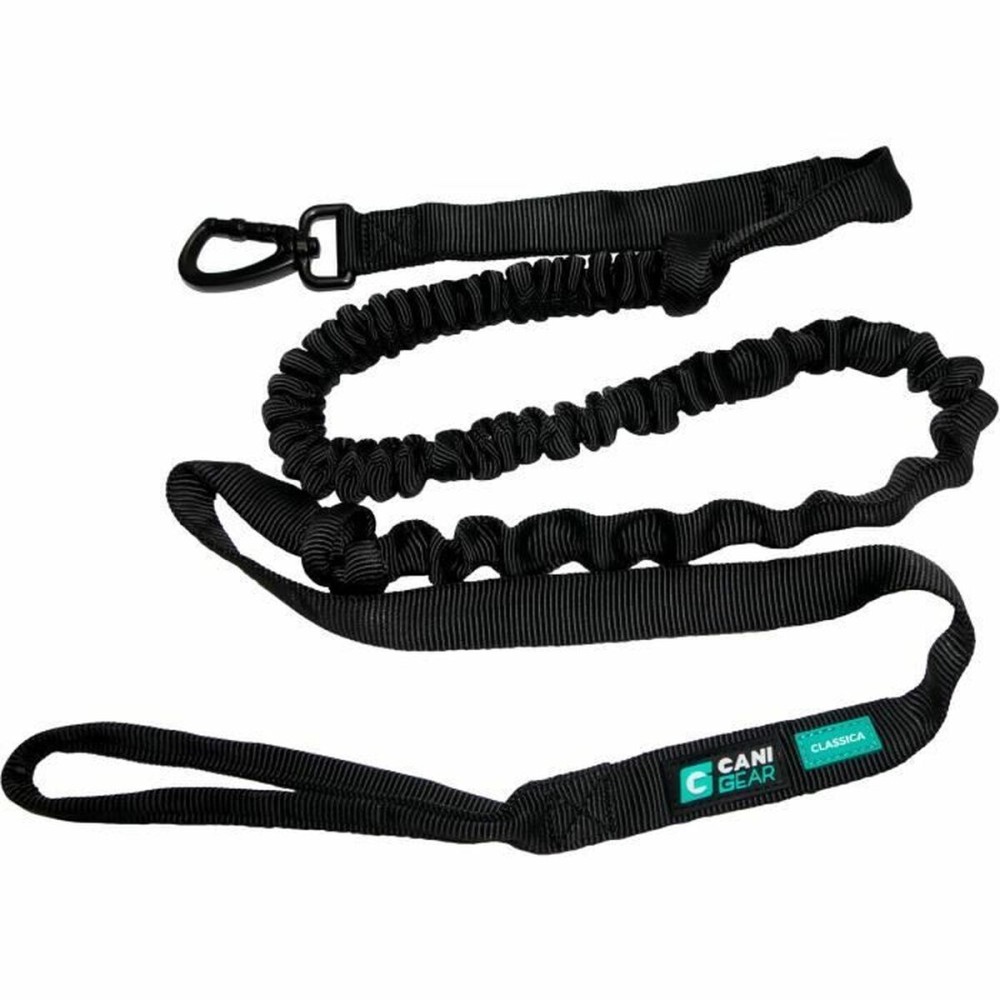 Laisse pour Chien Noir