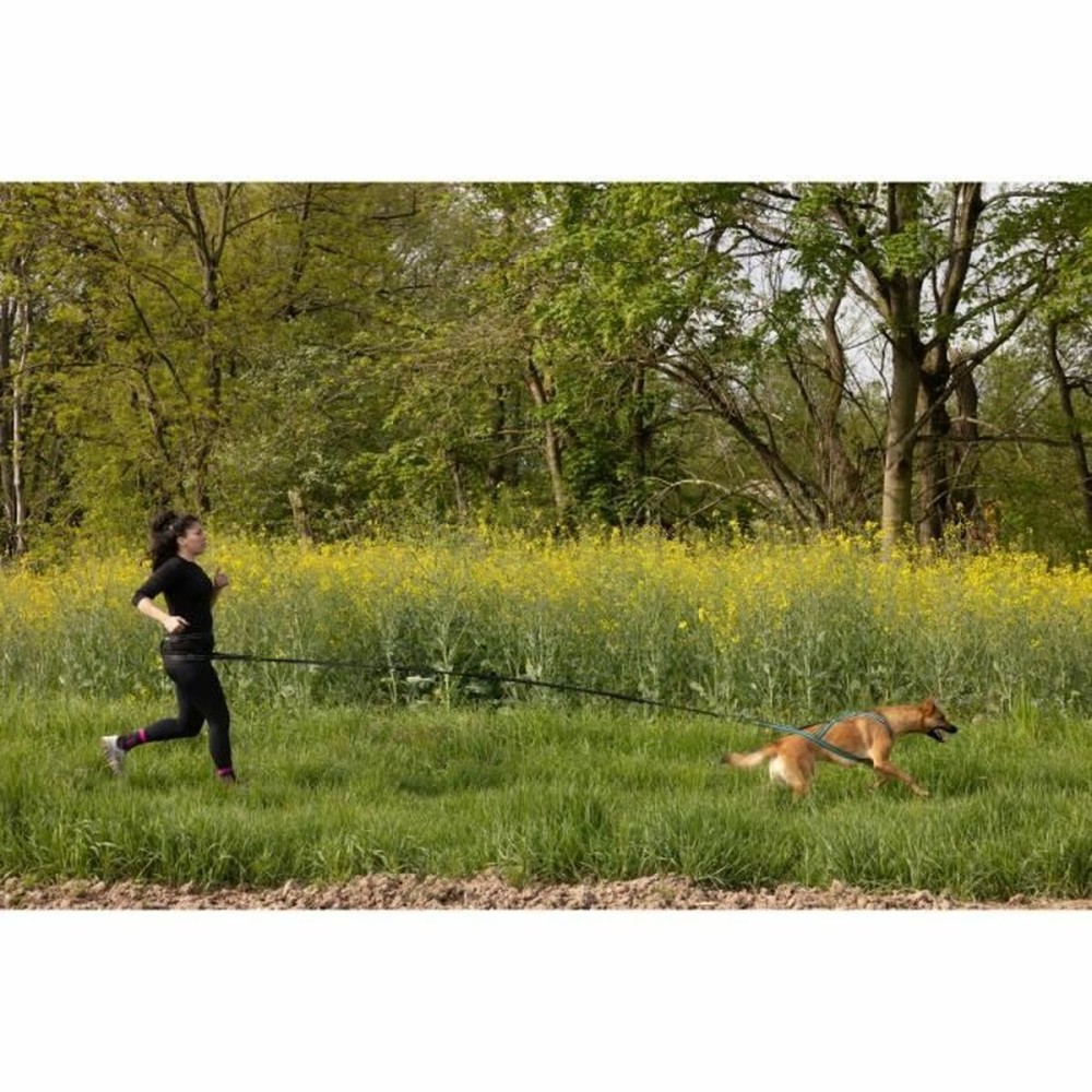 Laisse pour Chien Noir