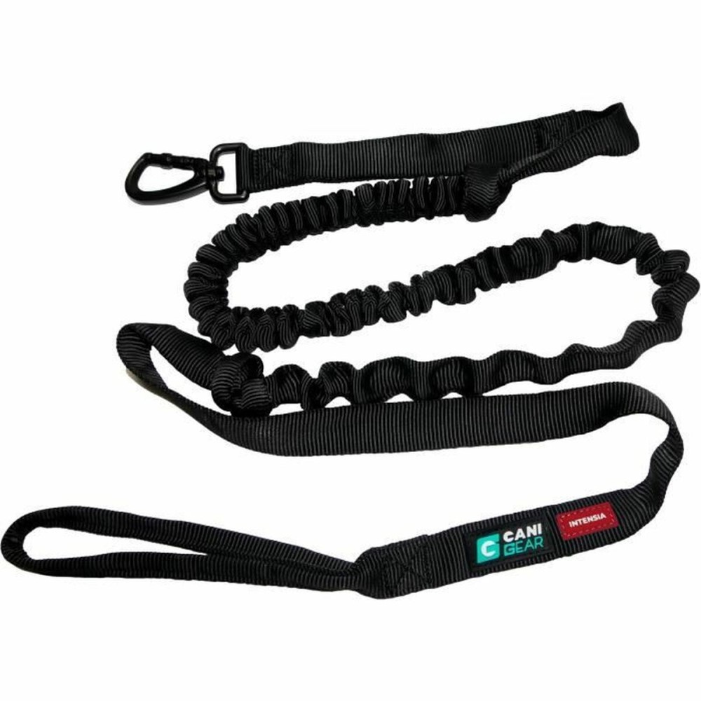 Laisse pour Chien Noir XL