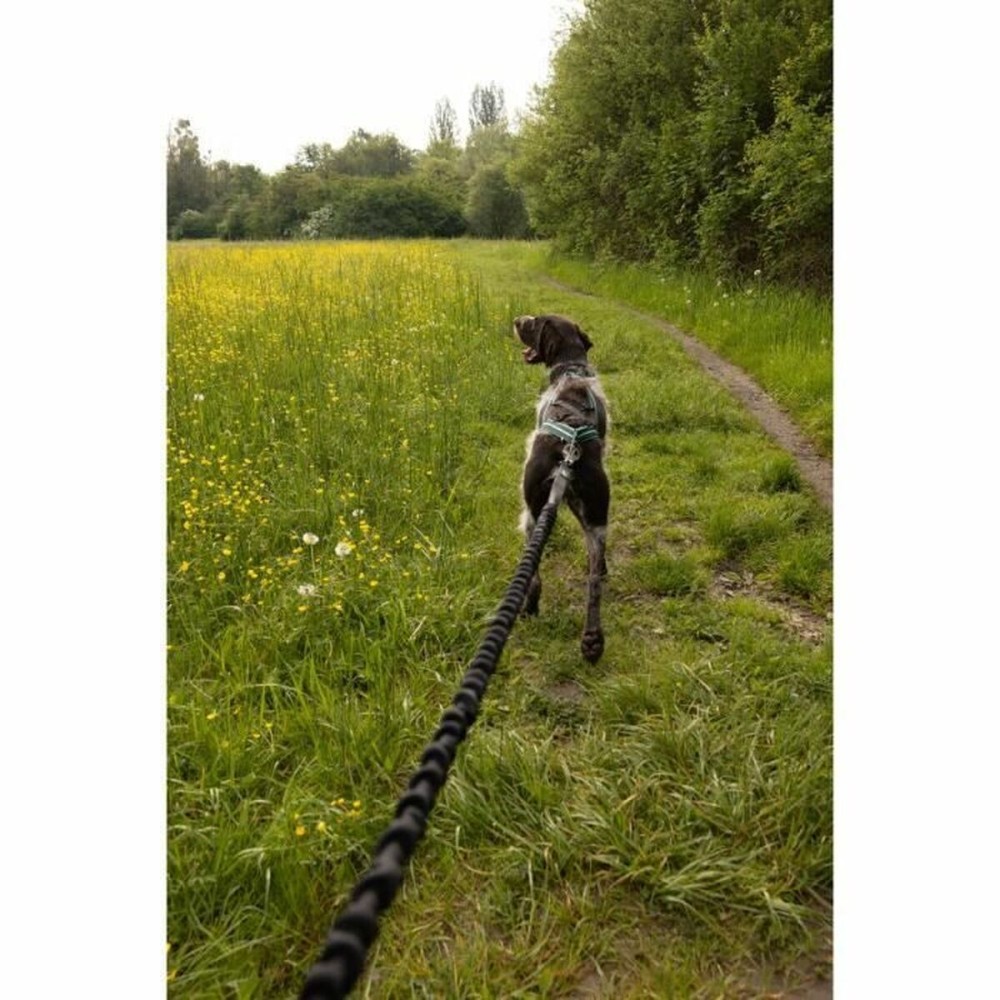 Laisse pour Chien Noir XL