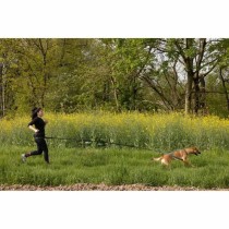 Laisse pour Chien Noir XL