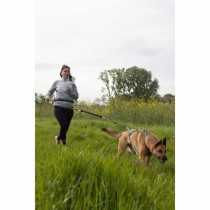 Laisse pour Chien Noir XL