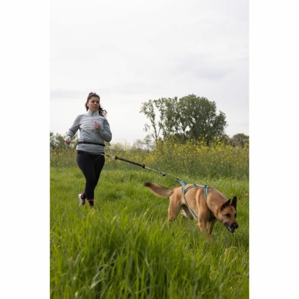 Laisse pour Chien Noir XL