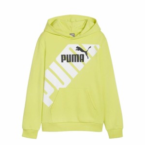 Kinder-Sweatshirt Puma Power Graphic