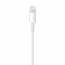Câble USB vers Lightning Apple Blanc 1 m