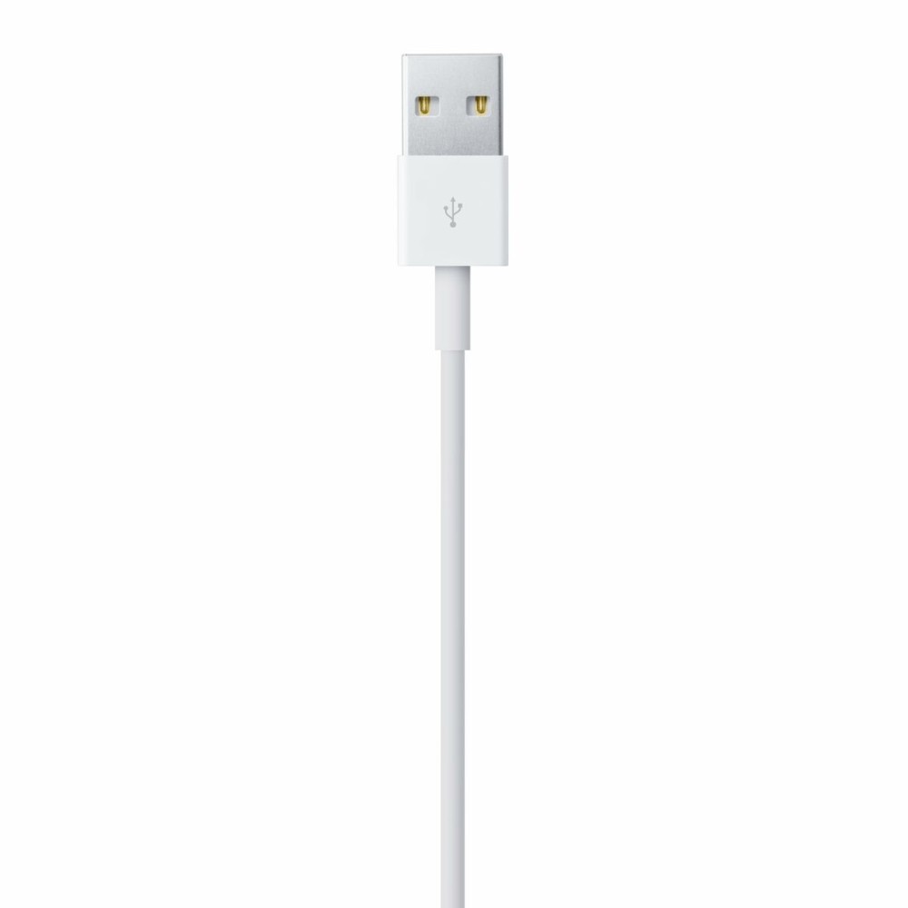 Câble USB vers Lightning Apple Blanc 1 m