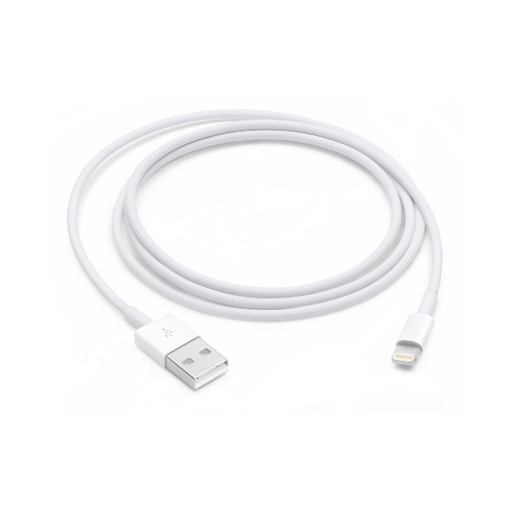 Câble USB vers Lightning Apple Blanc 1 m