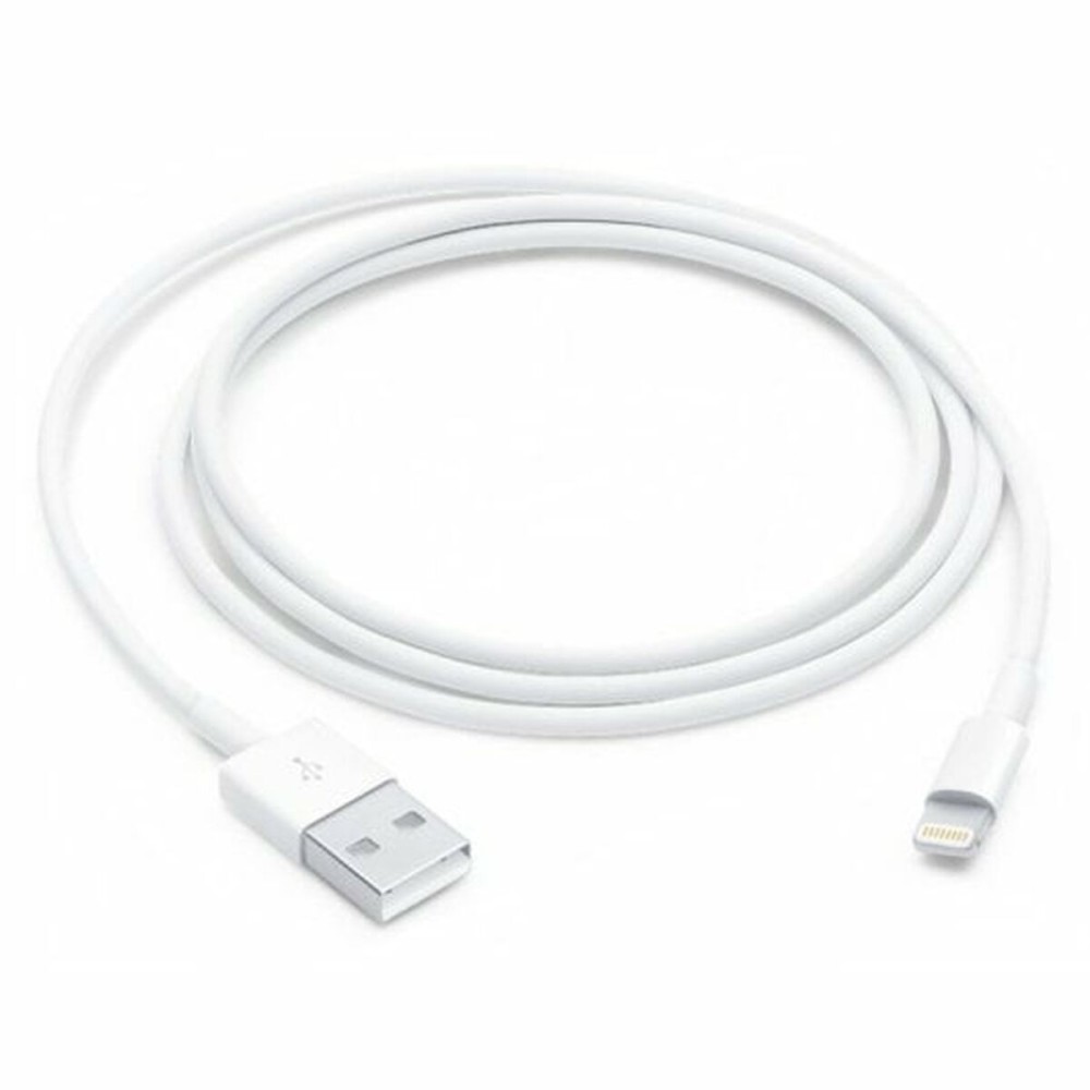 Câble USB vers Lightning Apple Blanc 1 m