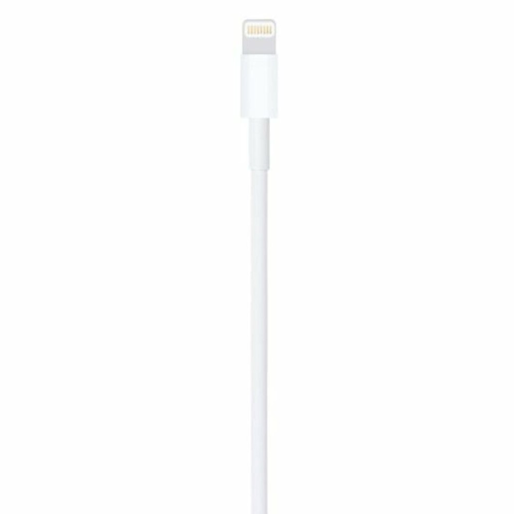 Câble USB vers Lightning Apple Blanc 1 m