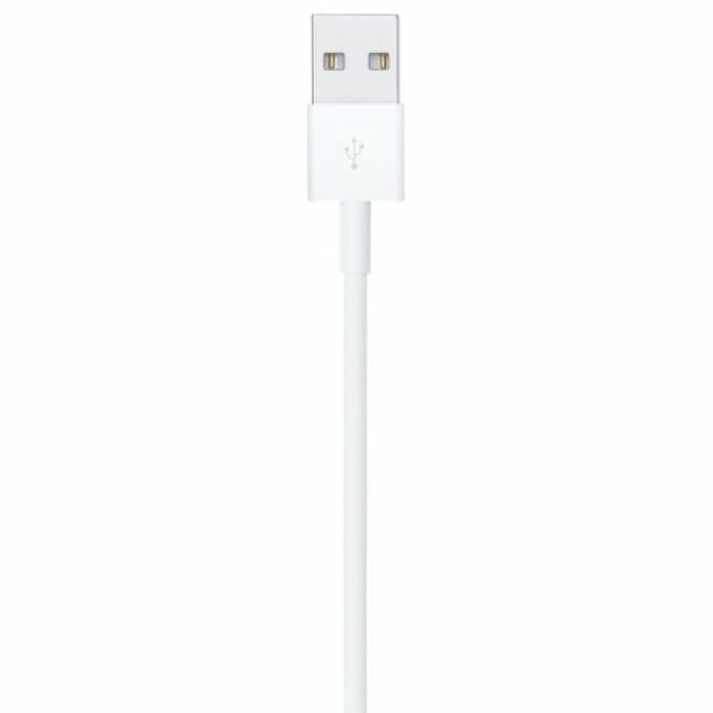 Câble USB vers Lightning Apple Blanc 1 m