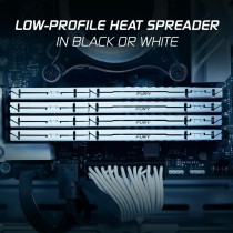RAM Memory Kingston Beast 64 GB DDR5 SDRAM DDR5 5600 MHz